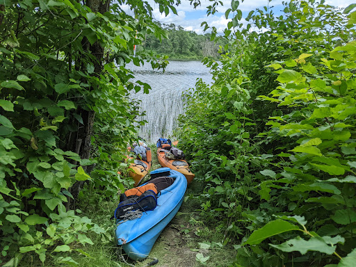 Lulu Island Campsite