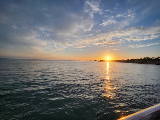 Higgs Beach - Visual