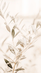 Photo n°3 de Sophie Métayer Thérapie Énergétique & Guidance à Essarts-en-Bocage (Centre de bien-être)