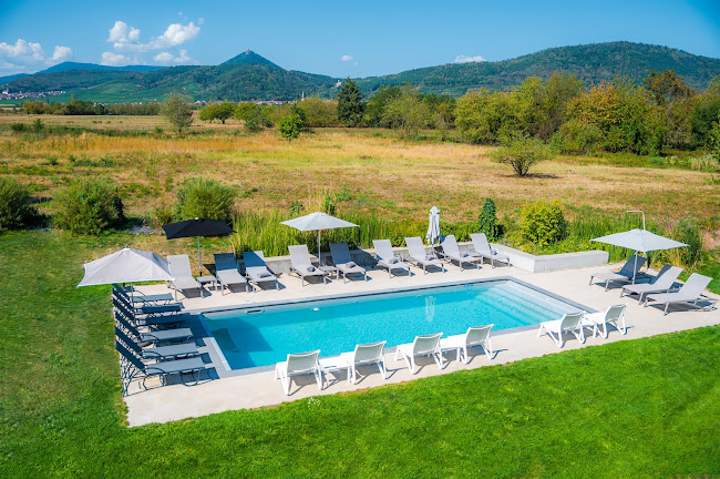 Hôtel Les Humanistes - Colmar