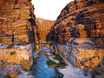 Photos of Mujib Nature Reserve