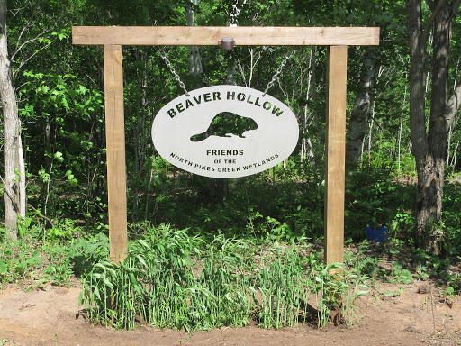 Beaver Hollow