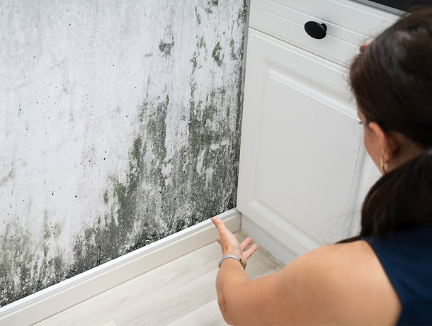 Vortex Water Damage Repair N. Lauderdale photo