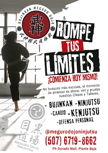 Bujinkan Meguro Dojo Ninjutsu