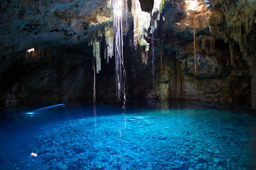 Travelumy / Agencia de Viajes Sustentable