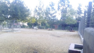 Photos of Rancho Los Caballos