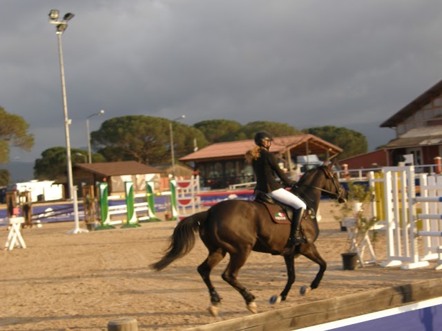 DOMAINE EQUESTRE DES GDS PINS