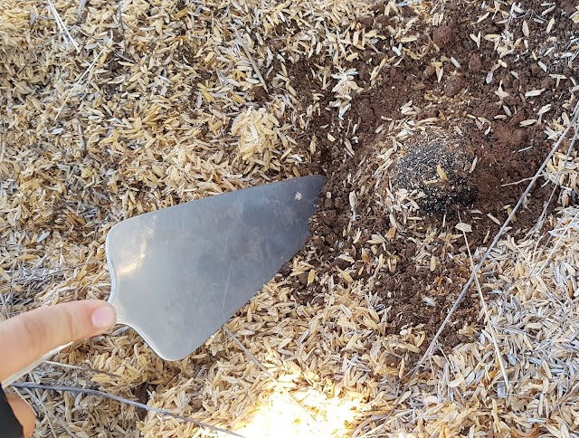The Truffle Farm Canberra