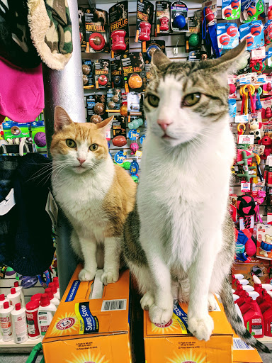 Animal Planet Pet Supplies - Thumbnail