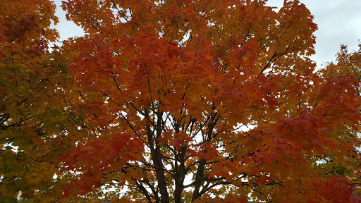 Photo de Résidence Autonomie Clémenceau