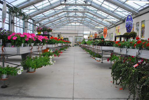 Floricoltura Tonon di Agostino ed Ermanna - Thumbnail