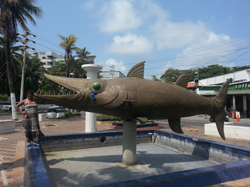 La Barracuda - Visual