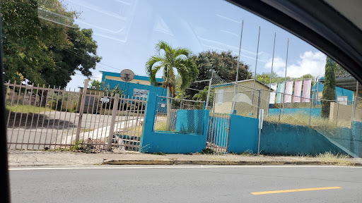 Benicia Velez