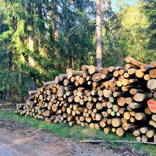 Brennholz-Wasgau - Thumbnail