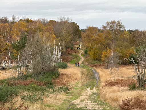 Chobham Common - Visual