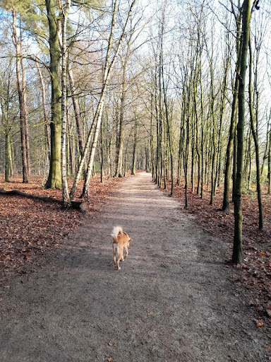 Kapperbos - Visual