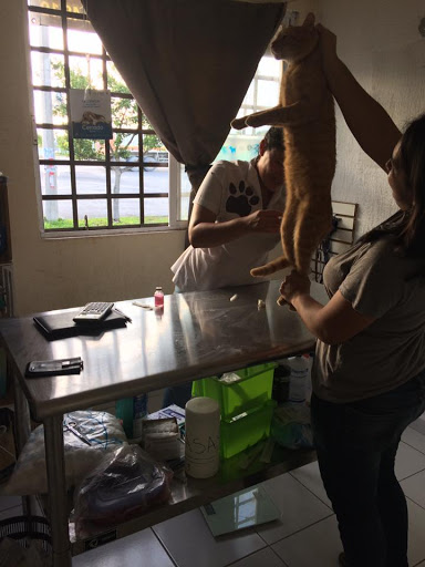 Animal Center Cancún