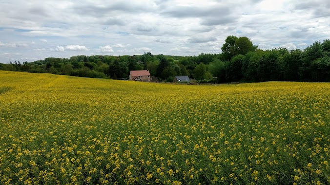 Schramme / Charles, Author: Carlo Suijkerbuijk