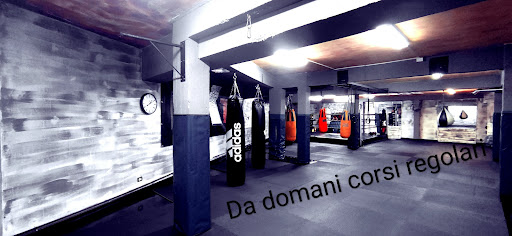 Professional Kickboxing Team - Thumbnail