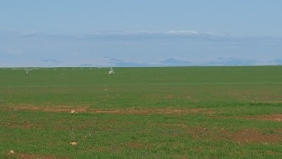 Photos of Tigem