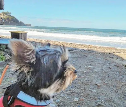 Custom-K9 Dog Training & Boarding