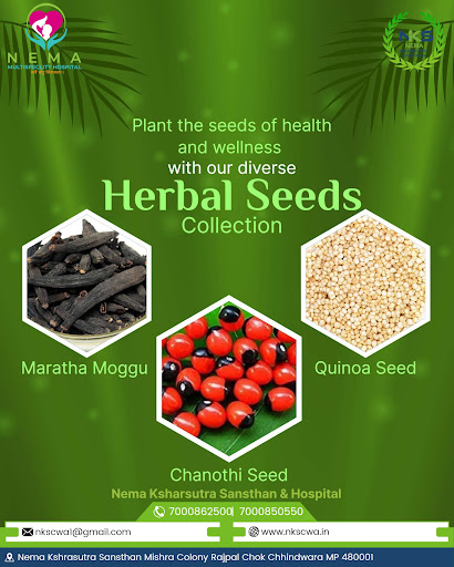 Plant the seeds of health and wellness with our Herbal Seeds Collection! post image