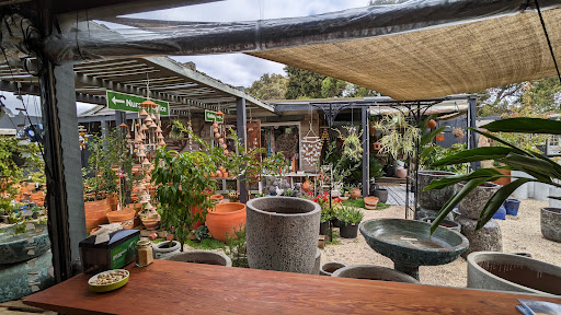 Bowside Cafe - Visual