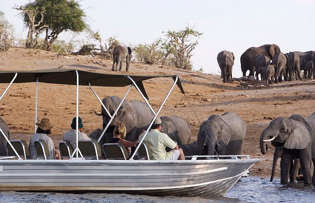 Chobe National Park