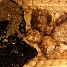 Photo n°11 de Romagna Mia à Antibes (Restaurant italien)