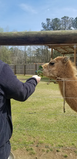 Bigham Farms & Exotics