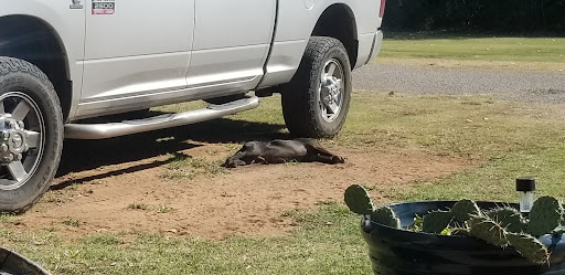 Brewer Mobile Home Park