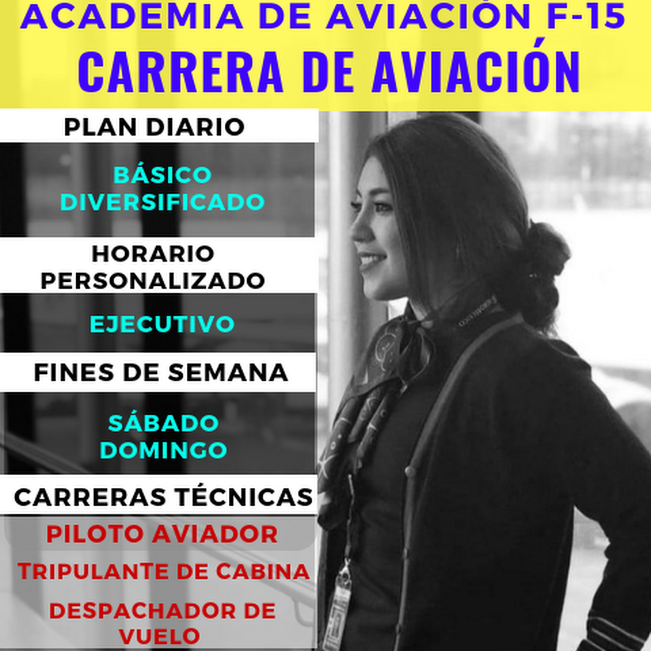 Academia De Aviacion F-15 - Flight School en Zona 13