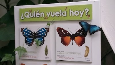 Photos of Los Artr&oacute;podos en "El Mariposario"