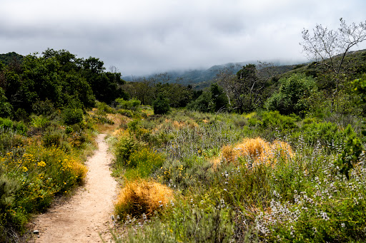 James Dilley Greenbelt Preserve Gallery - United States