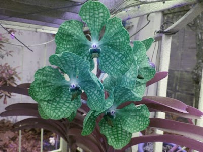 Photos of Biomedical And Biotechnology Department