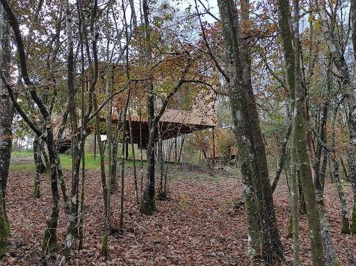 Cabanas das Chousas GLAMPING Gallery - Spain
