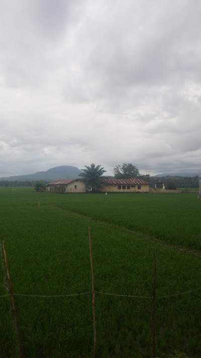 Photos of Polsek Muara Tiga