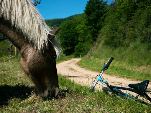 Photo de La Dolce Via