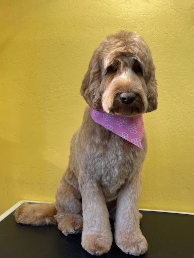 Brock's Pet Grooming - Thumbnail