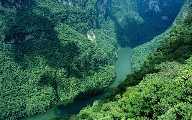 Cañon Del Sumidero