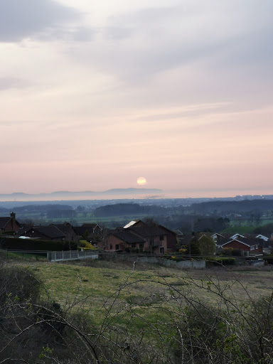 Maes Hiraddug North Wales Wildlife Trust Nature Reserve