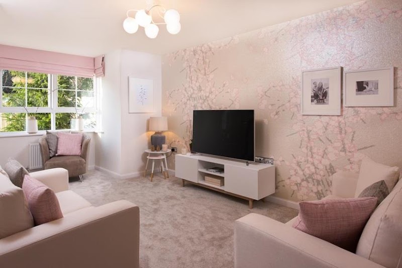 Barratt Homes - Kingsley Meadows photo 2