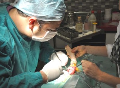 Photos of Light Veterinary Medical Center