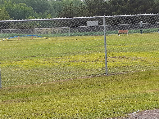 TOP Dog Park Gallery - United States