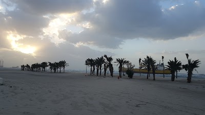 Photos of Al Fisht Park