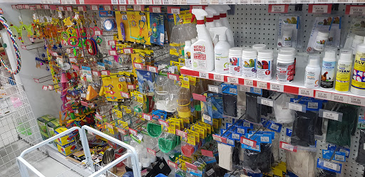 Pet Store N More - Thumbnail