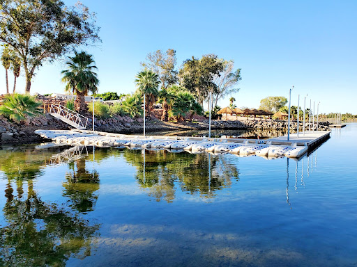 The Palms at River Edge - Thumbnail
