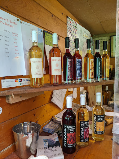 Avalon Vineyard