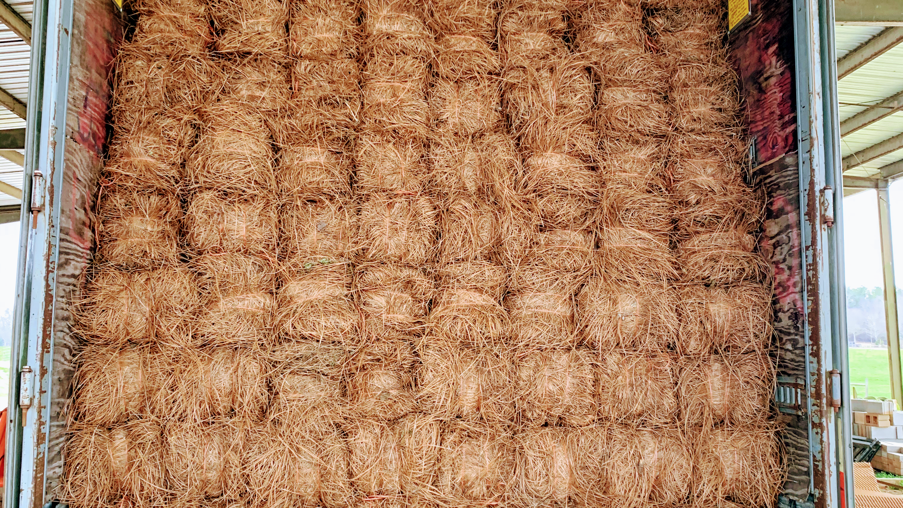 The Straw Lot