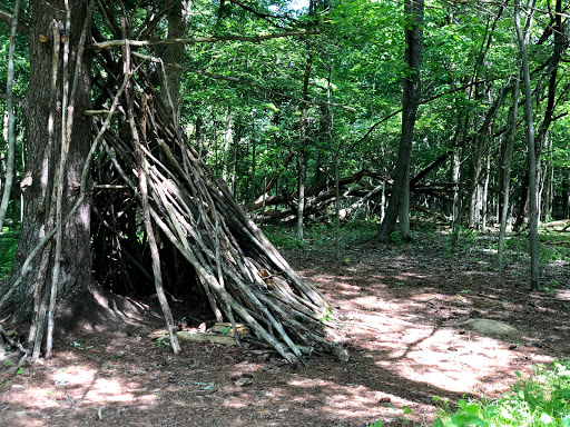 Log Tipi - Visual